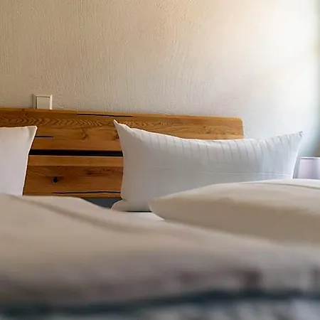 Szálloda Bodenseehotel Krone & Gaestehaus Ludwigshafen am Rhein
